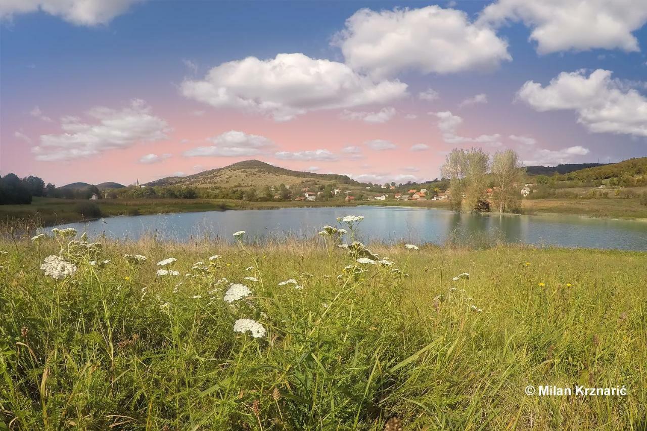 Appartamento Apartman Ana Otočac Esterno foto